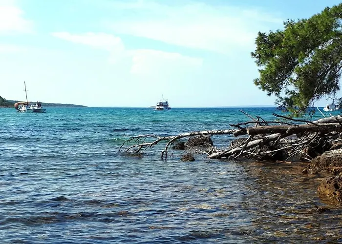 Melada Molat